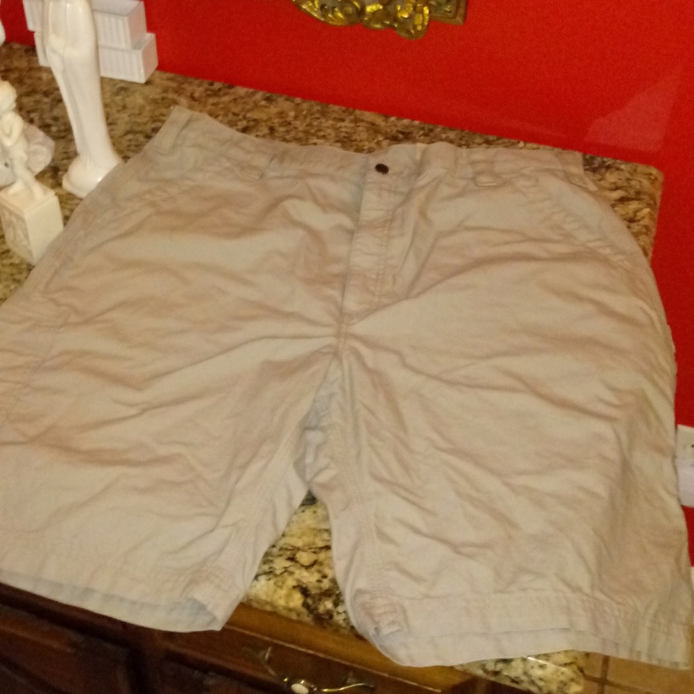 1025 Carhartt Original Fit Shorts *